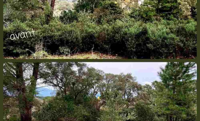 Création et entretien de jardin, Porto-Vecchio, Arte Natura