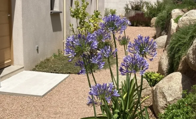création jardin Solenzara , Porto-Vecchio, Arte Natura