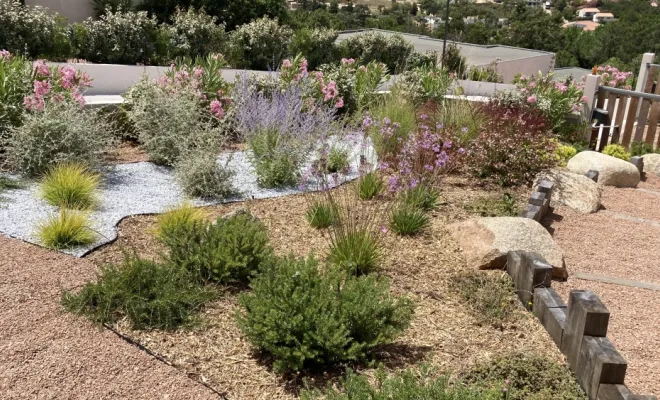 création jardin Solenzara , Porto-Vecchio, Arte Natura
